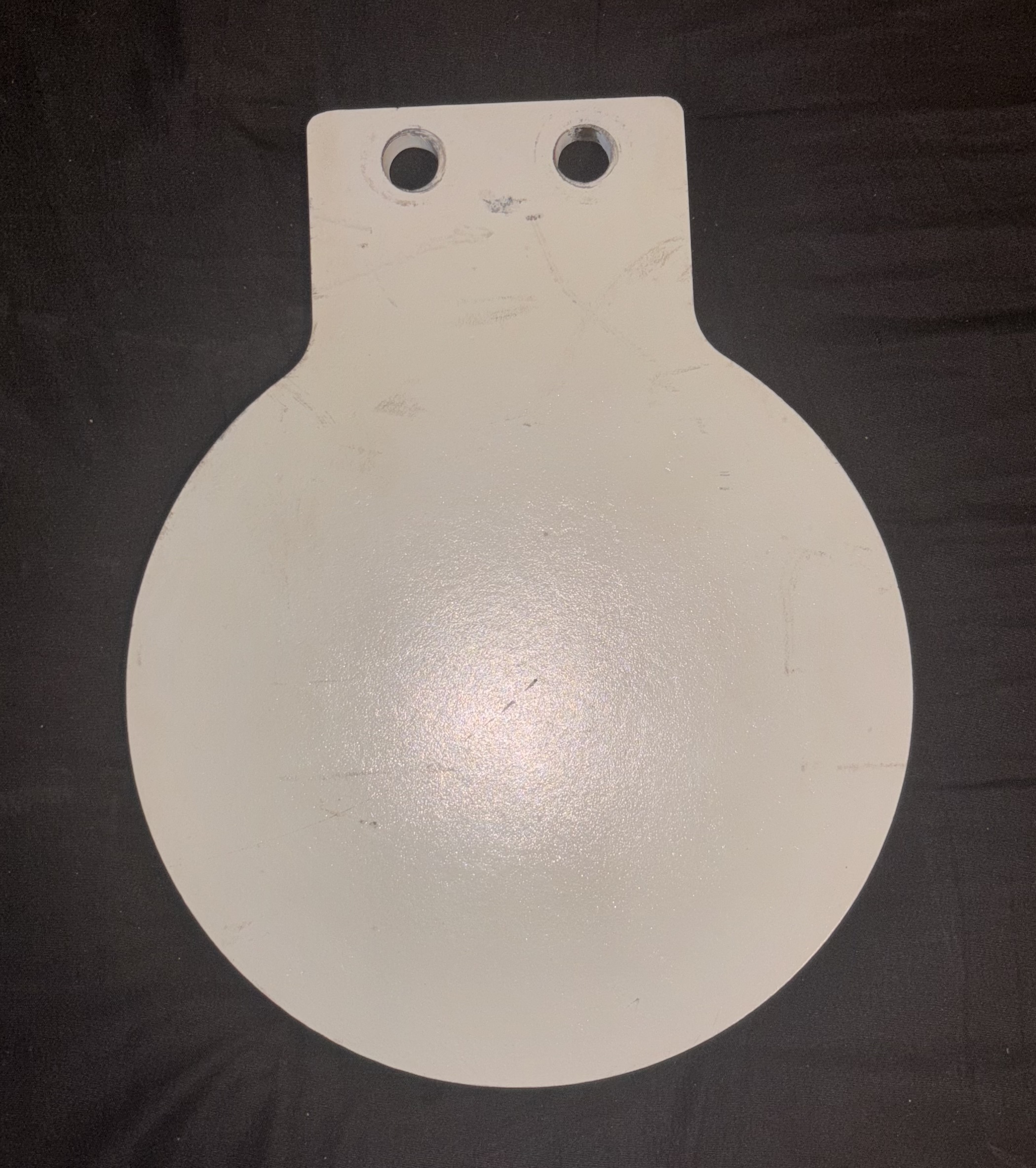 The plate that served as the basis for the drawing.